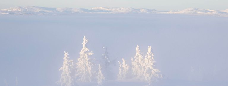 Banner Webside We are snow