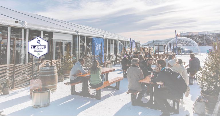 Banner mal Webside VIP CLUB